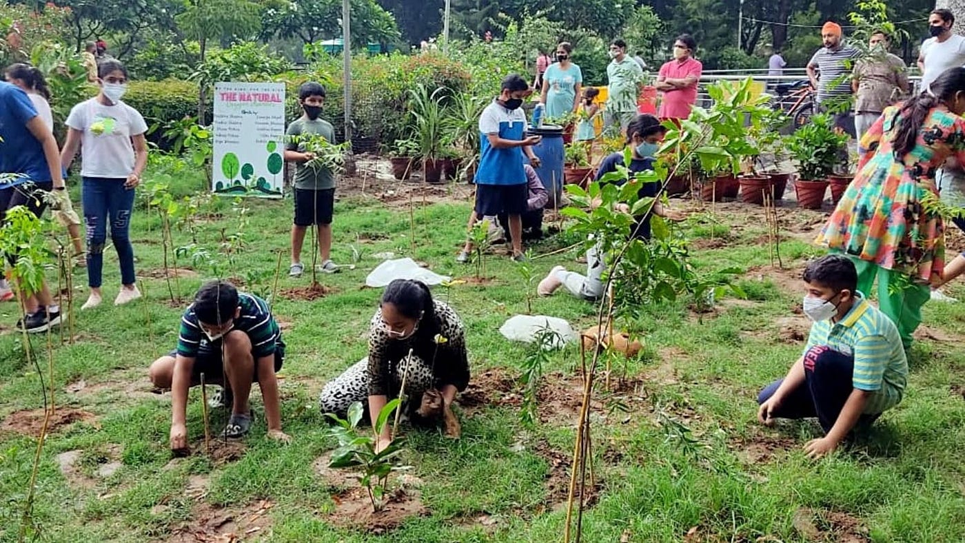 Environmental Sustainability